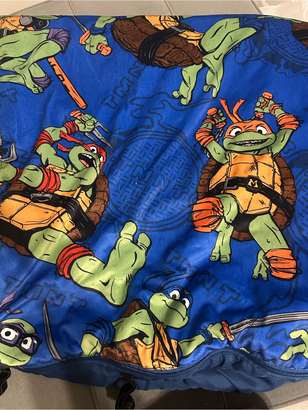 Teenage Mutant Ninja Turtles Blue Sleeping bag